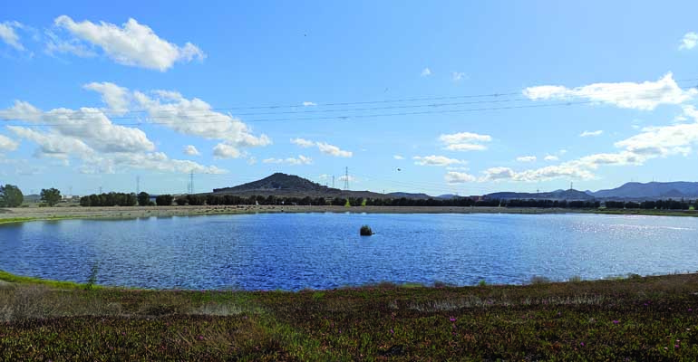 articulo-tecnico-eficacia-lagunas-tratamiento-cuaternario-aguas-residuales