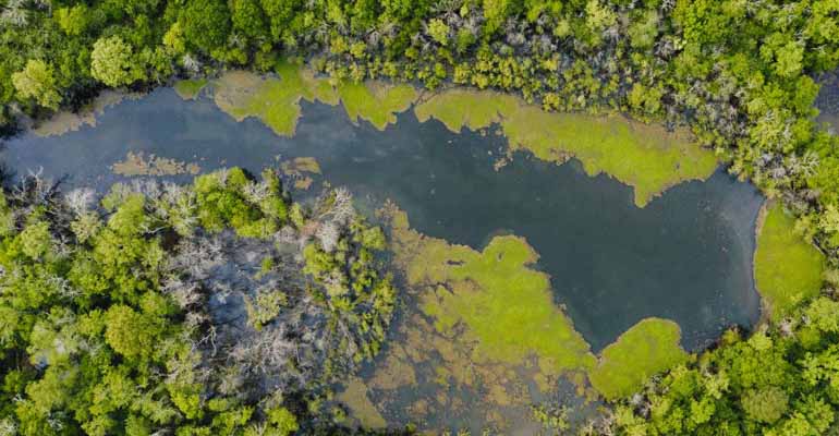 Unido reconoce el valor de la infraestructura de la calidad para abordar los retos del cambio climático