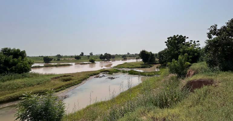 Incatema realizará en Senegal el proyecto de acondicionamiento de la cuenca del río Nianija Bolong